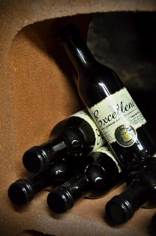 Penzion Excellent Stříbro エクステリア 写真